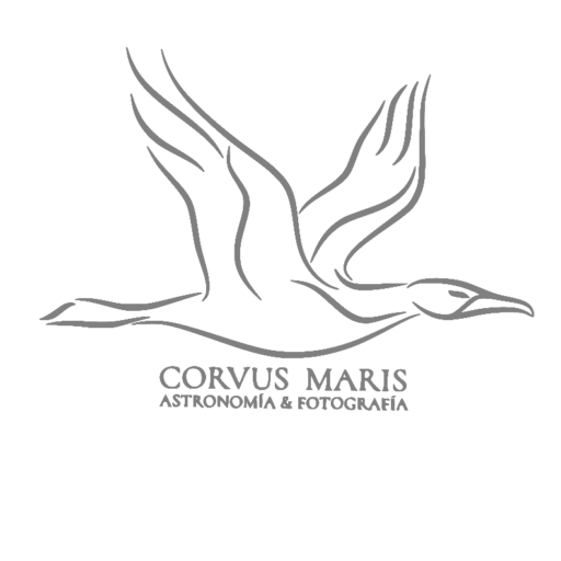 Corvus Maris